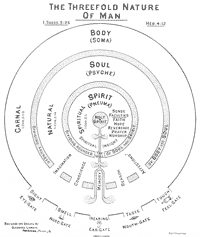 The Threefold Nature of Man